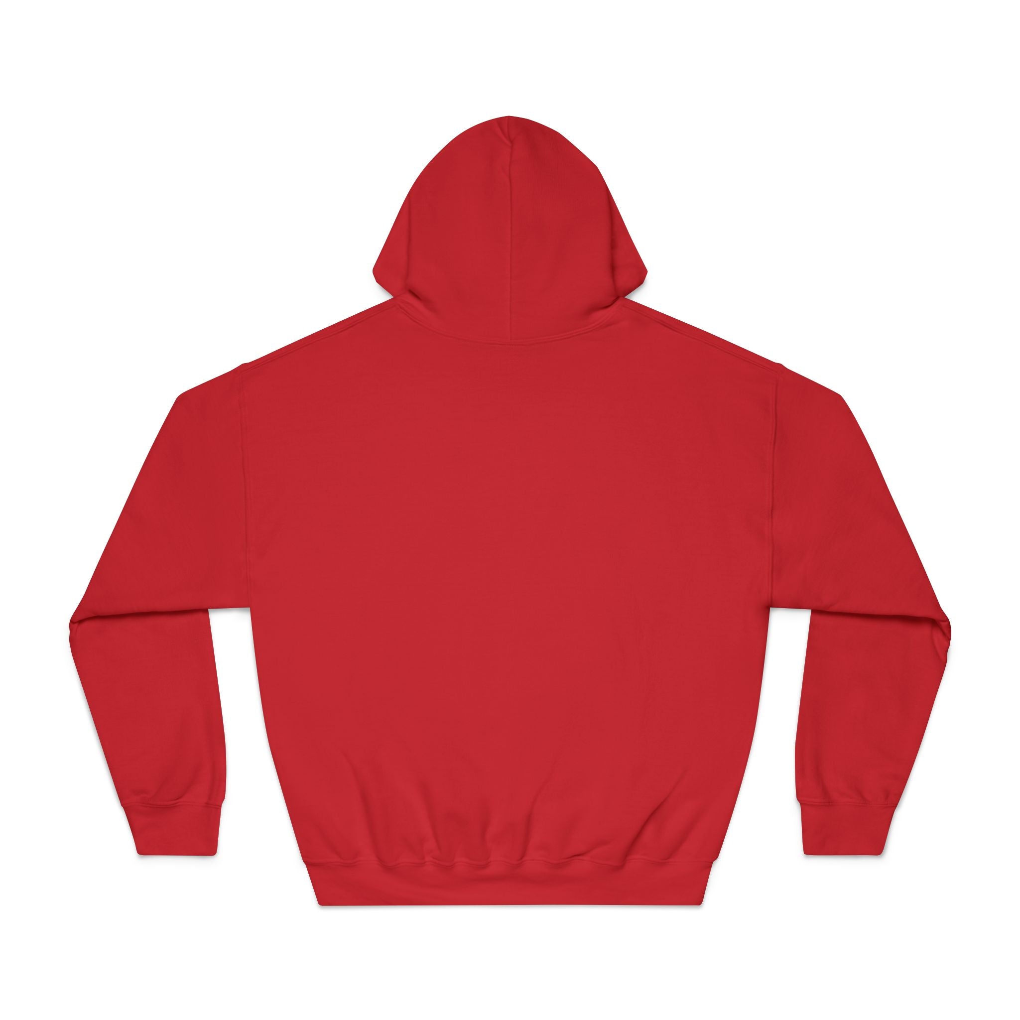 Unisex DryBlend® Hooded Sweatshirt